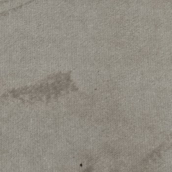 Evlilik Sonrası Mobilya Kabusu: Tahta Kurusu Sorunu