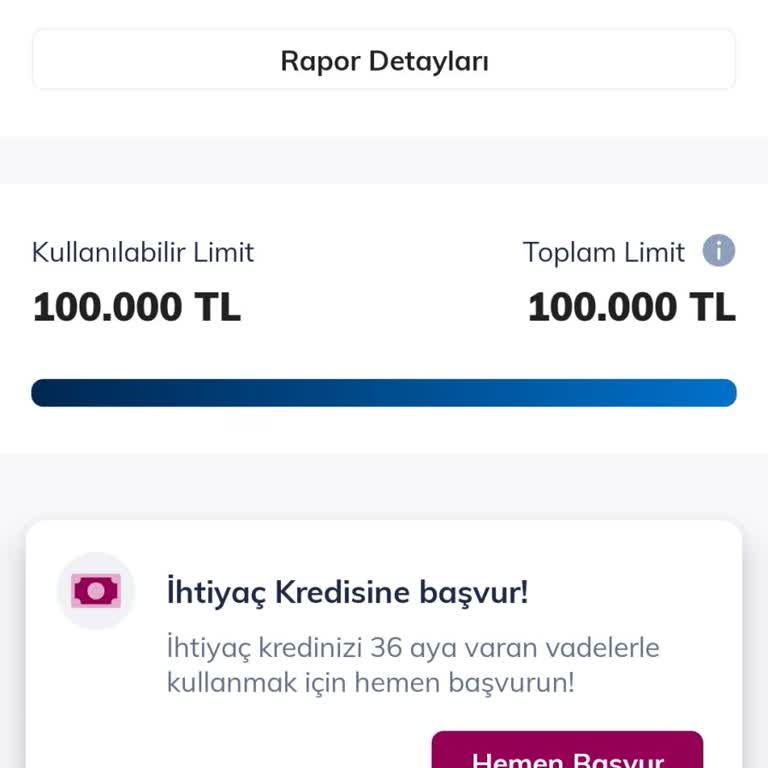 Kredi Limiti Tanımlandı Ama Kullanılamıyor