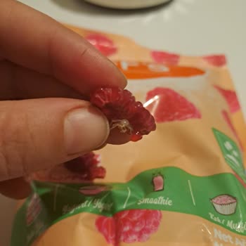 Dondurulmuş Frambuazdan Çıkan Örümcek Şoku