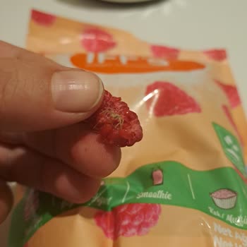 Dondurulmuş Frambuazdan Çıkan Örümcek Şoku