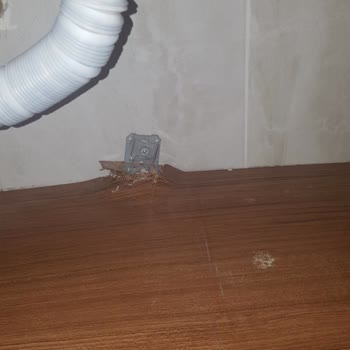 Sigorta Ekspertizinin Yanıltıcı Fiyatlandırması