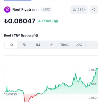Paribu'da Reef Coin Mağduriyeti: Beklerken Zarar Ediyoruz