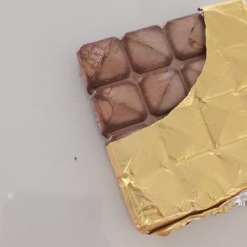 Küflenmiş Çikolatalarla Karşılaşma