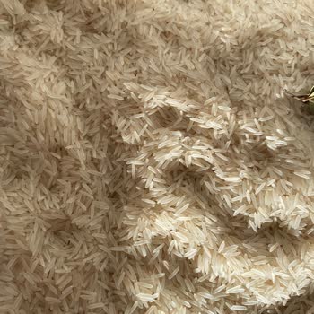 BİM'den Alınan Pirinçlerde Böcek Sorunu