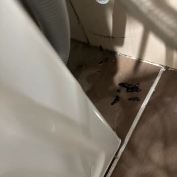 Samsung Kurutma Makinesi Yalıtım Sorunu