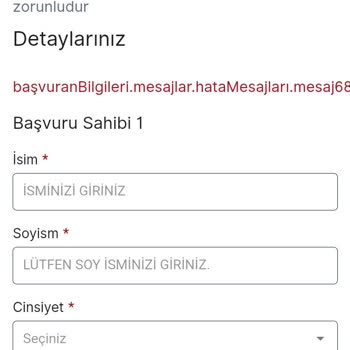 Vize Randevusu Kabusu: Hatalar, Gecikmeler Ve İlgisizlik