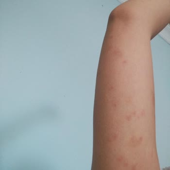 Delta Holding Tahtakurusu Olan Ev