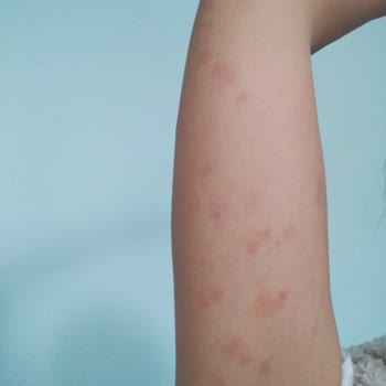 Delta Holding Tahtakurusu Olan Ev