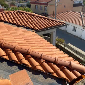 Ford Cornet Araçlarda Boya Dökülme Sorunu