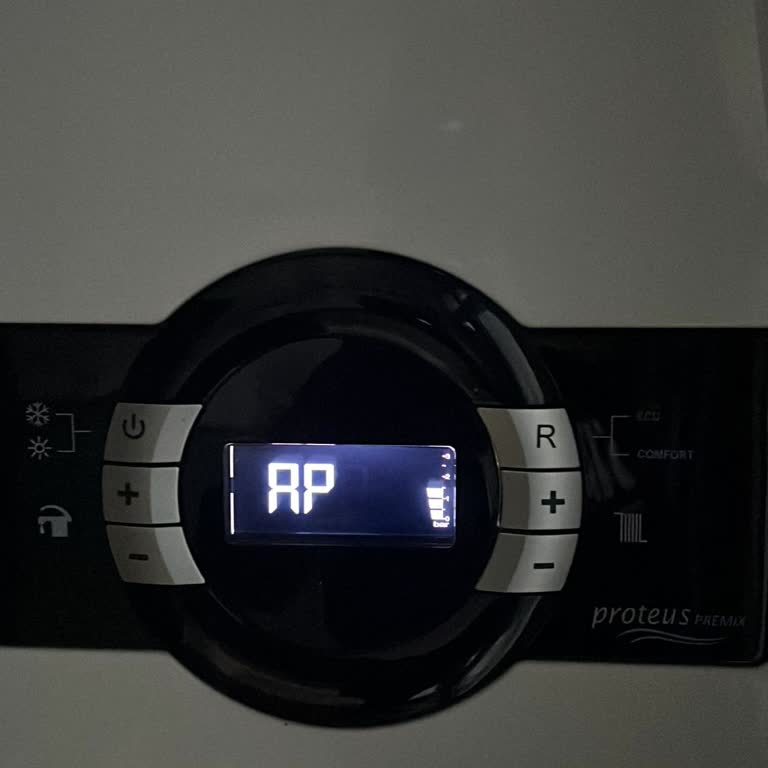 ECA Kombi Sorunu: Çözüm Bulamayan Servis