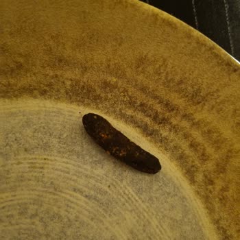 Getir Siparişimde Garip Ve Sert Ürün Şoku