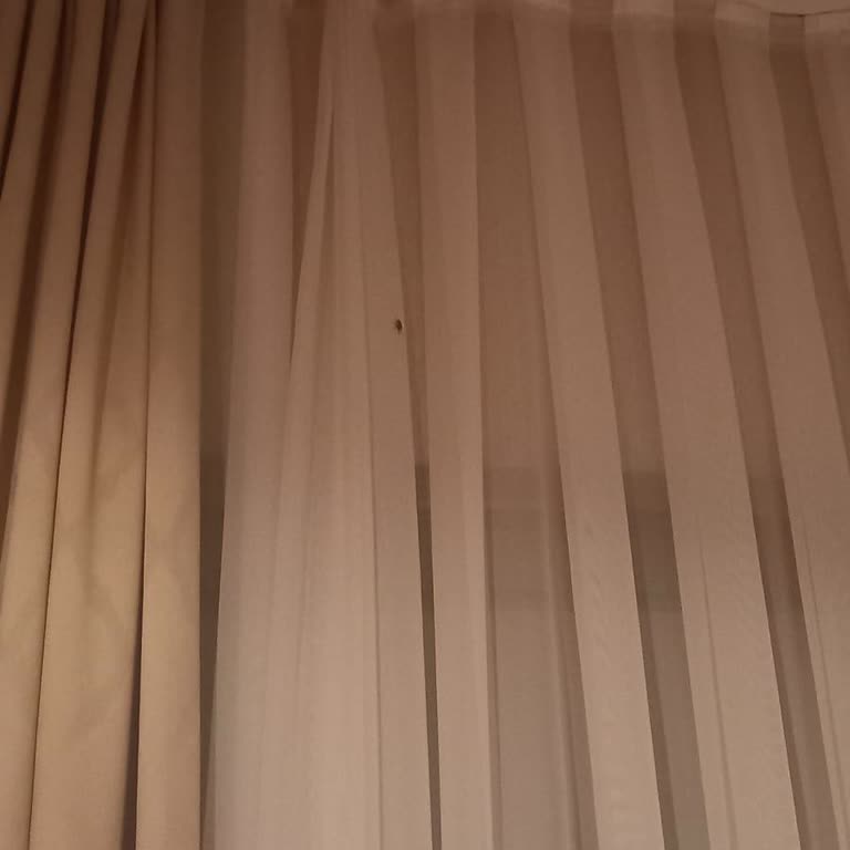 Otel Konaklamasında Böceklerle Dolu Oda Kabusu