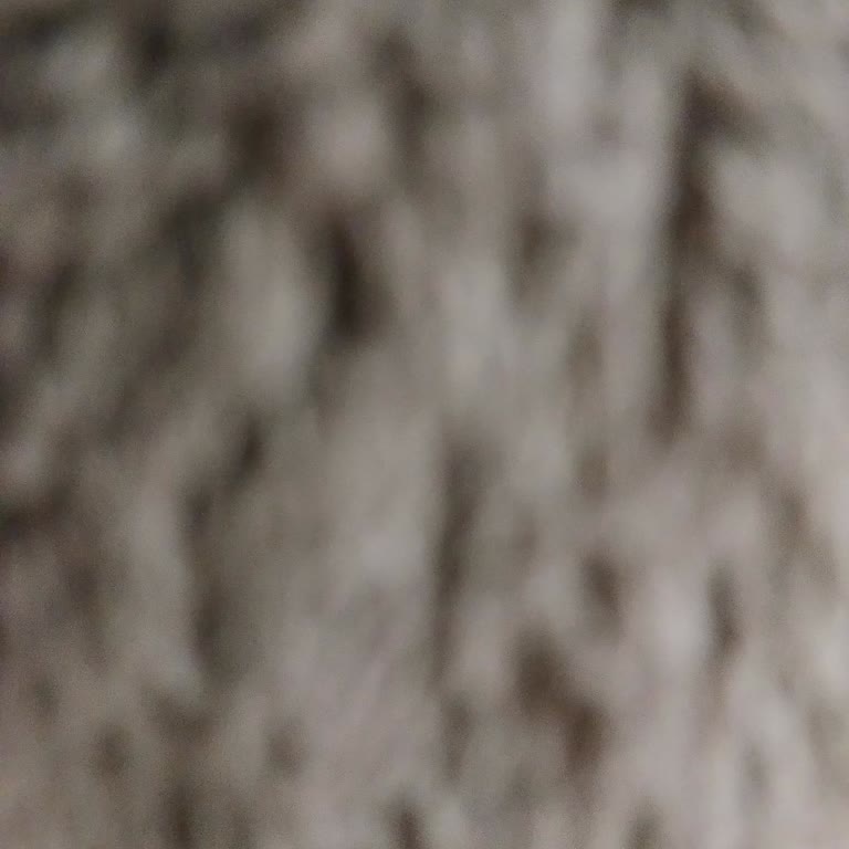 Sahibinden.com Giriş Sorunları Ve Sürekli Sistem Hataları