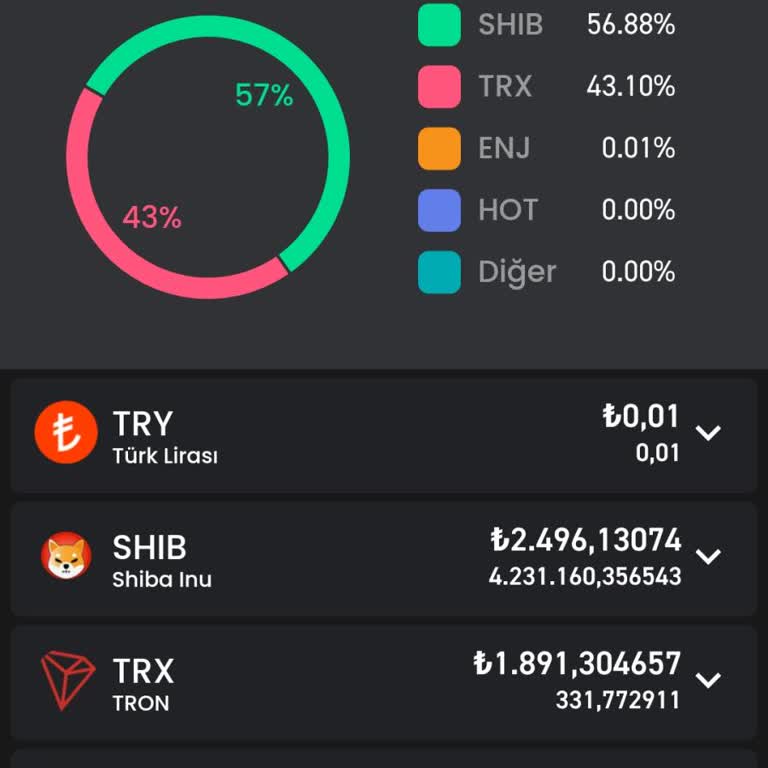 Kripto Varlıklarım Üzerinde Kontrol Kaybı
