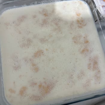 Böğürtlenli Trileçe Sosu Keki Çekmedi