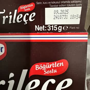 Böğürtlenli Trileçe Sosu Keki Çekmedi