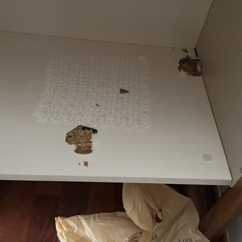 Mobilya Kalitesi Ve Müşteri Hizmetlerinde Hayal Kırıklığı