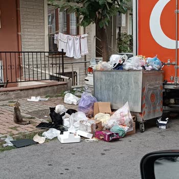 Çekmeköy Belediyesi Çöp Konteyneri Kabusu: Mahallemizi Kokudan Kurtarın!