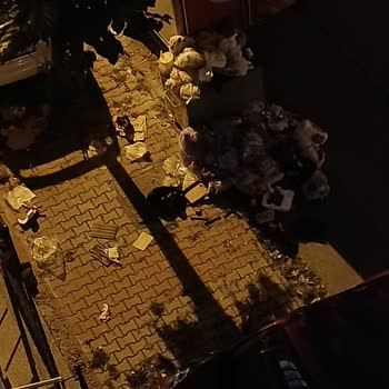 Çekmeköy Belediyesi Çöp Konteyneri Kabusu: Mahallemizi Kokudan Kurtarın!