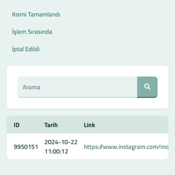 Apibayim.com'da Yaşadığım Hayal Kırıklığı