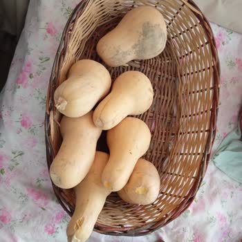 Migros Yanıltıcı Ürün Gönderimi Ve Kalitesiz Ürün Deneyimi!