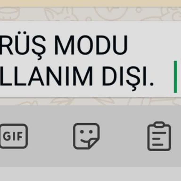 Yeni Ford Puma'da Yazılım Sorunu Ve Hizmet Gecikmesi