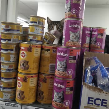 A101 Market Raflarında Hijyen Sorunu