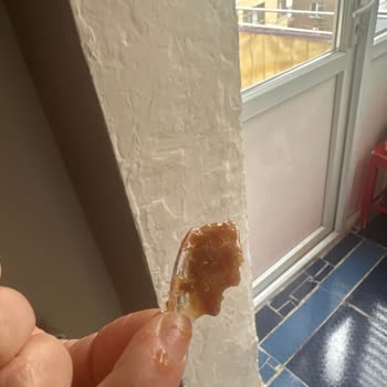 Çikolatalı Pastadan Çıkan Plastik Parça Şoku