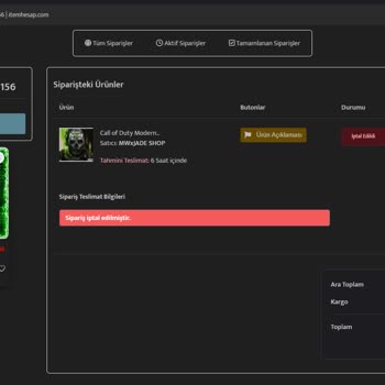 Paylaşılan Hesap Sorunu: Oyun Keyfimi Kaçırıyor!