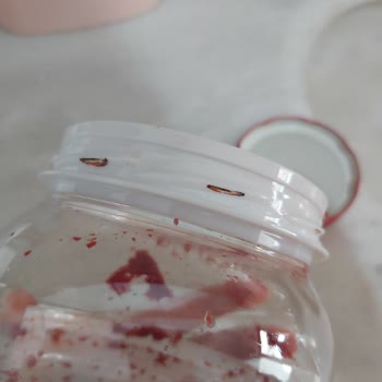 Paslı Kapakla Gıda Güvenliği Tehlikesi