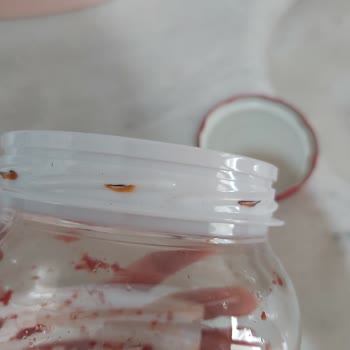 Paslı Kapakla Gıda Güvenliği Tehlikesi