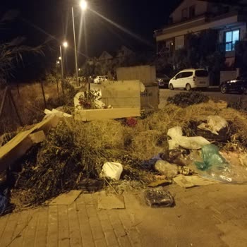 Fethiye'deki Çöp Sorunu: Konteynerler Taşıyor, Çözüm Bekliyoruz