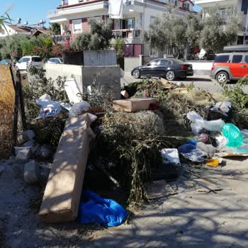 Fethiye'deki Çöp Sorunu: Konteynerler Taşıyor, Çözüm Bekliyoruz