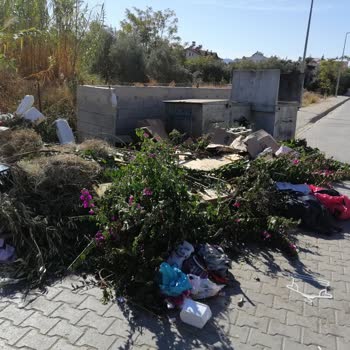 Fethiye'deki Çöp Sorunu: Konteynerler Taşıyor, Çözüm Bekliyoruz
