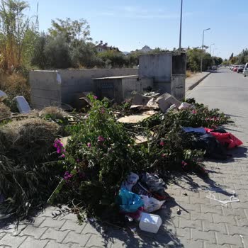 Fethiye'deki Çöp Sorunu: Konteynerler Taşıyor, Çözüm Bekliyoruz