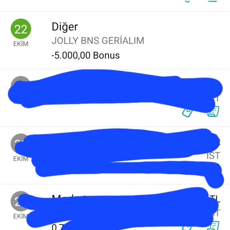 Silinen Bonus Puanlarımın Yeniden Yüklenmesini Talep Ediyorum