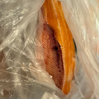 Balık Temizleme Hizmetinde Büyük Hayal Kırıklığı