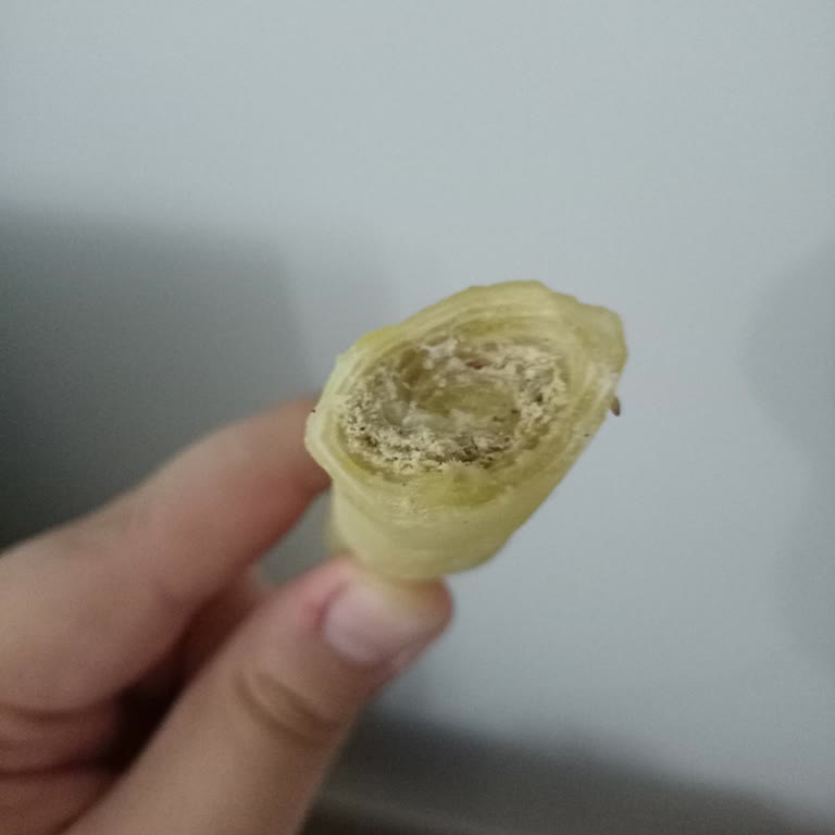 Makbul Mağazalarının Pestil Reyonunda Hayal Kırıklığı