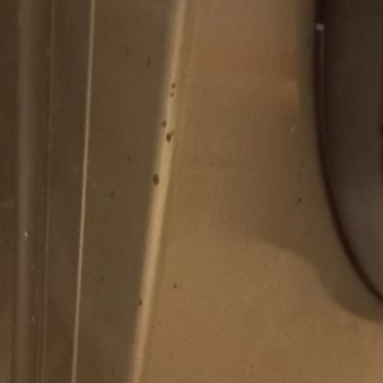 BİM Güldal Şikayeti