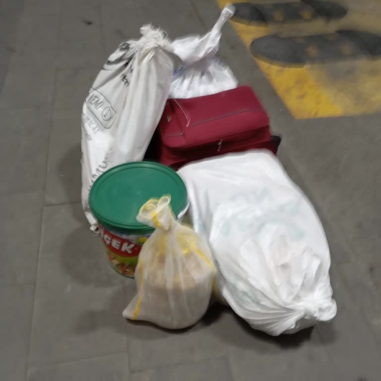 Turizm Firmasında Bagaj Ücreti Problemi