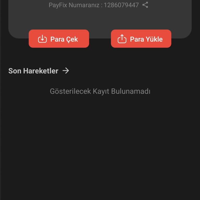 Payfix Hesabında Sürekli Para Transfer Sorunu