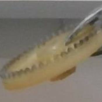 Eki aç