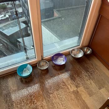 Mimyap İnşaat Mecidiyeköy Şikayeti