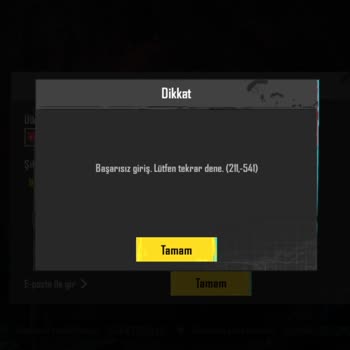 PUBG Hesabına Giriş Sorunu