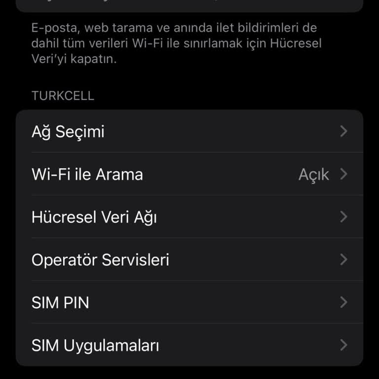Yurt Dışı Telefon Kaydı Ve Hat Geçiş Sorunu