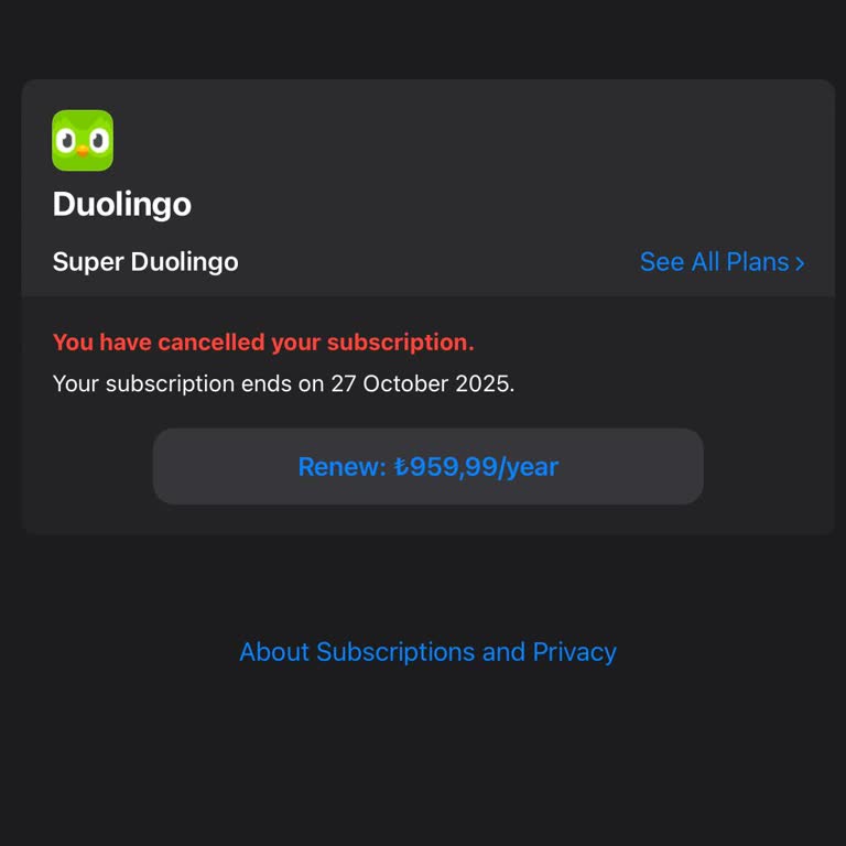 Duolingo Üyelik Yenileme Sorunu Ve Ücret Kesintisi