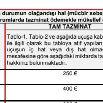 Pegasus Airlines Mağduriyeti: İptal Edilen Uçuş Ve Cevapsız Talepler