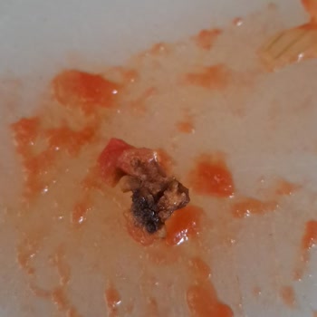 Tukaş Domates Püresinde Siyah Sert Cisim Sorunu