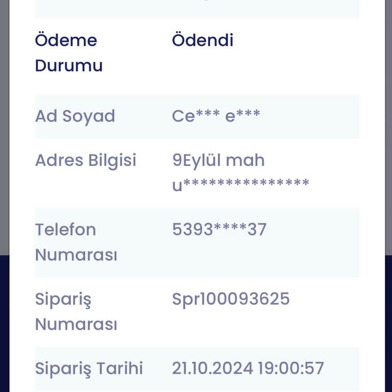Kayıp Evrak Kargosu Sorunu
