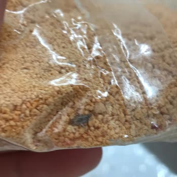 Bebek Tarhanasında Böcek Şoku